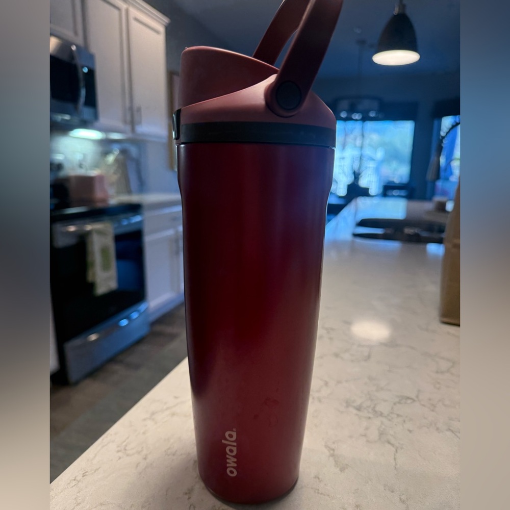 Owala Poinsetta Freesip Water Bottle